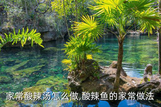 家常酸辣湯怎么做,酸辣魚的家常做法