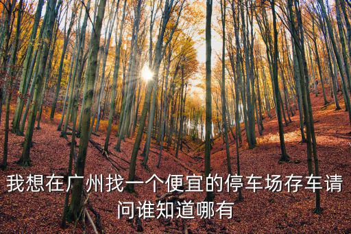 廣州農信大廈附近便宜停車，廣州市天河區哪里有便宜的月保停車場