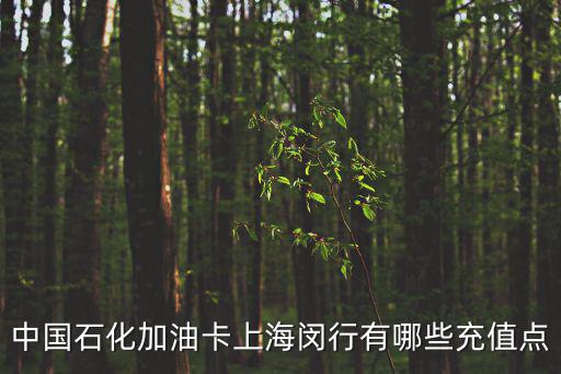 中國石化加油卡上海閔行有哪些充值點