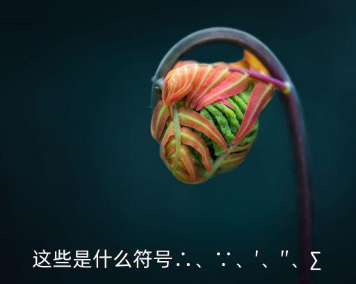 這些是什么符號∴、∵、′、″、∑