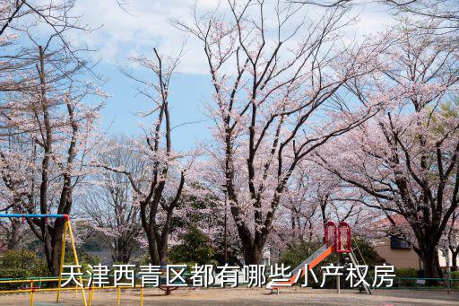 天津西青區都有哪些小產權房