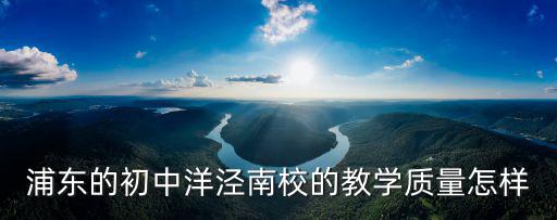 上海市洋涇南校怎么樣，問一下上海洋涇南校和震旦外國語哪個學校比較好啊