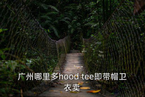 廣州騰羿服飾衛衣，我想上網買件衛衣 在廣州有哪些店鋪比較好的 介紹一下