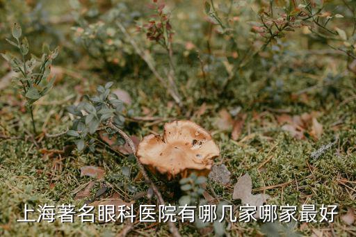 上海眼科醫院哪家最好，上海著名眼科醫院有哪幾家哪家最好