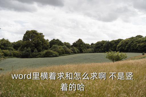 word求和，word如何計算求和最快的