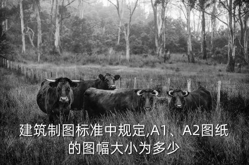 建筑制圖標準中規(guī)定,A1、A2圖紙的圖幅大小為多少