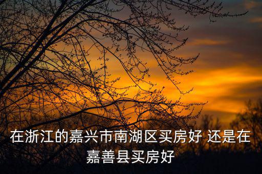 在浙江的嘉興市南湖區買房好 還是在嘉善縣買房好