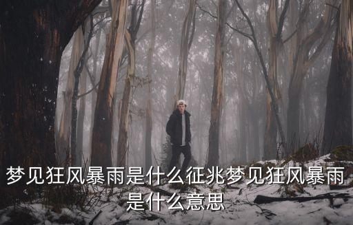 夢見狂風(fēng)暴雨,午夜夢見狂風(fēng)暴雨意思什么意思?