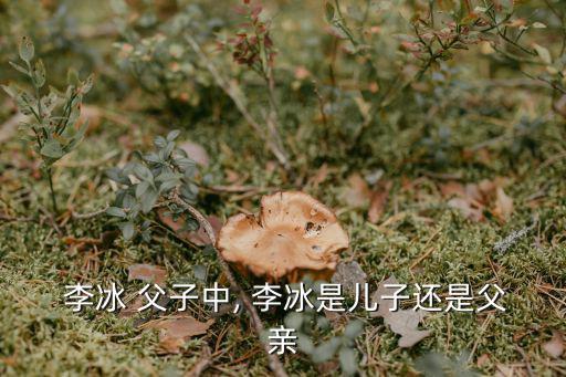 李冰父子簡介,紀念李冰父子都江堰二王廟被神化