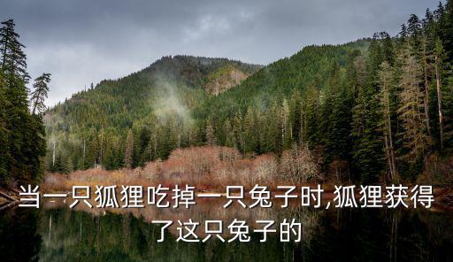 當一只狐貍吃掉一只兔子時,狐貍獲得了這只兔子的