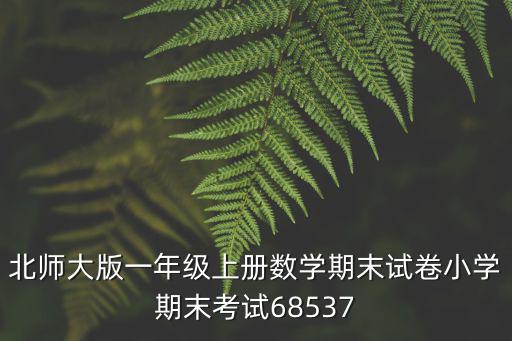 北師大版一年級上冊數(shù)學(xué)期末試卷小學(xué)期末考試68537