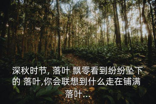 飄零的落葉,秋風(fēng)落葉:秋風(fēng)已掃落葉迎來秋天的洗滌