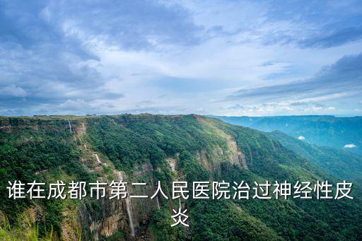 誰在成都市第二人民醫院治過神經性皮炎