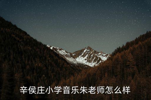 辛侯莊小學(xué)音樂(lè)朱老師怎么樣