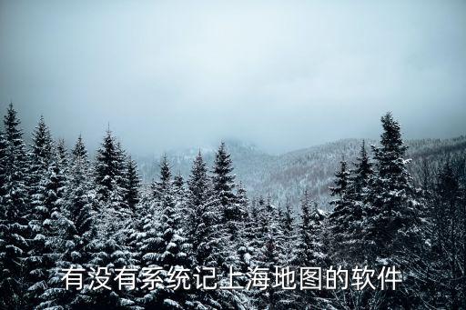 有沒有系統記上海地圖的軟件
