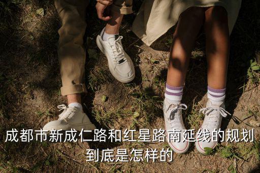 成都市領地天府國際康城如何，成都市新成仁路和紅星路南延線的規劃到底是怎樣的
