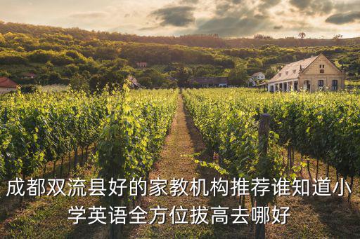 成都雙流縣好的家教機構推薦誰知道小學英語全方位拔高去哪好