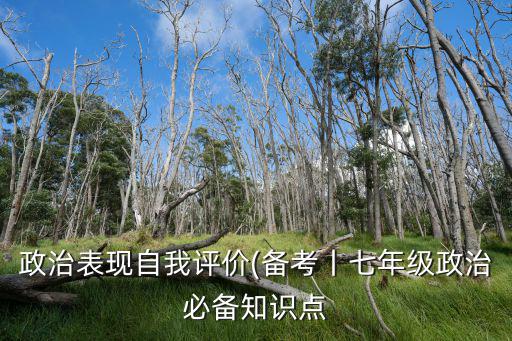 政治表現(xiàn)自我評(píng)價(jià)(備考丨七年級(jí)政治必備知識(shí)點(diǎn)
