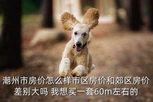 潮州市房價怎么樣市區房價和郊區房價差別大嗎 我想買一套60m左右的
