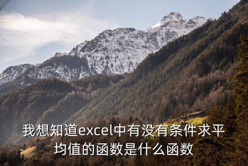 我想知道excel中有沒(méi)有條件求平均值的函數(shù)是什么函數(shù)