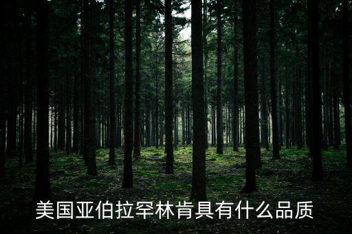 美國亞伯拉罕林肯具有什么品質
