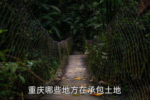 重慶市土地承包證樣品，重慶哪些地方在承包土地