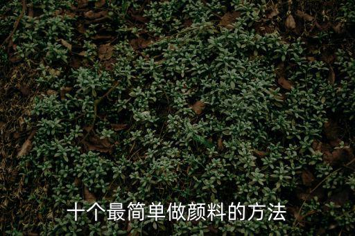 十個(gè)最簡(jiǎn)單做顏料的方法