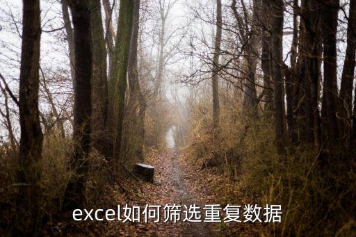 excel如何篩選重復(fù)數(shù)據(jù)