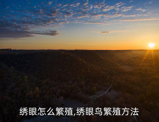 繡眼,中國(guó)繡眼鳥分布于亞洲南部至大洋洲和非洲