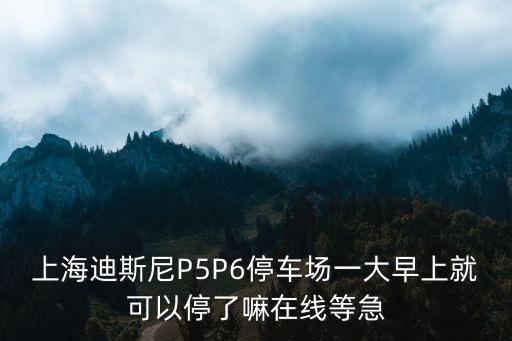 上海迪斯尼P5P6停車(chē)場(chǎng)一大早上就可以停了嘛在線等急