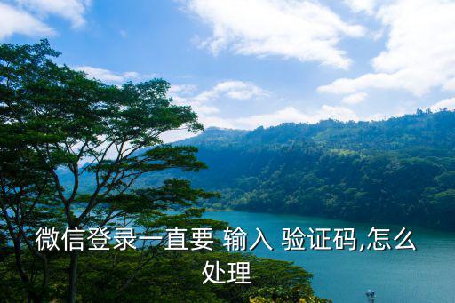 請輸入驗(yàn)證碼,如何獲取驗(yàn)證碼?!