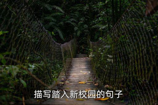 走進校園,走進校園那一刻感覺到家的溫暖