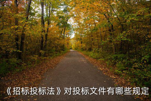 《招標投標法》對投標文件有哪些規定