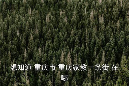 想知道 重慶市 重慶家教一條街 在哪