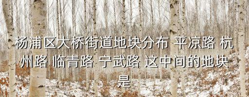 楊浦區(qū)大橋街道地塊分布 平?jīng)雎?杭州路 臨青路 寧武路 這中間的地塊是