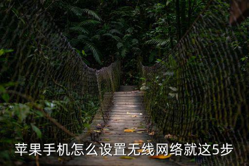 蘋(píng)果手機(jī)怎么設(shè)置無(wú)線網(wǎng)絡(luò)就這5步
