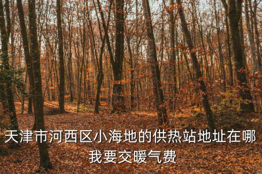 天津市河西區小海地的供熱站地址在哪 我要交暖氣費