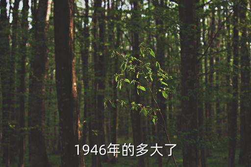 1946年的多大了