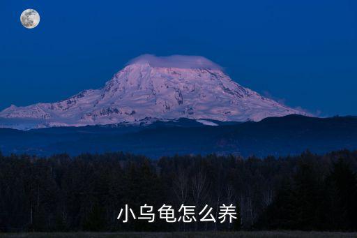 龜怎么養,冬眠在水中小甲魚或半水半土冬眠