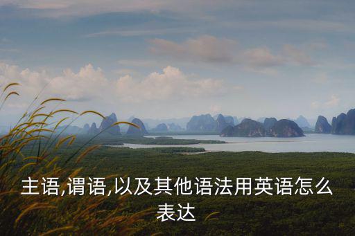 主語,謂語,以及其他語法用英語怎么表達