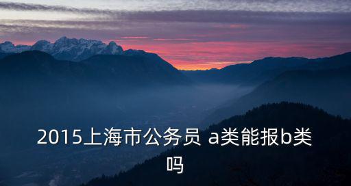 2015上海市公務員 a類能報b類嗎