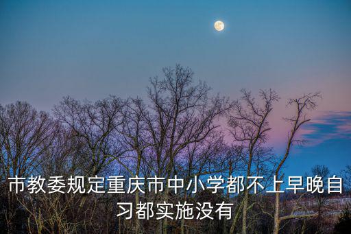 市教委規定重慶市中小學都不上早晚自習都實施沒有