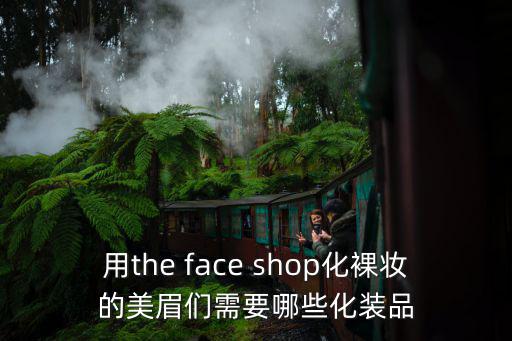 用the face shop化裸妝的美眉們需要哪些化裝品