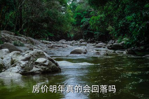 房?jī)r(jià)明年真的會(huì)回落嗎