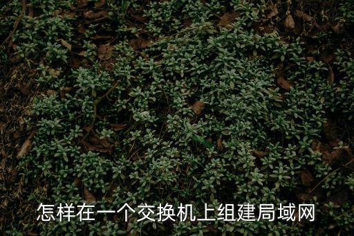 怎樣在一個(gè)交換機(jī)上組建局域網(wǎng)