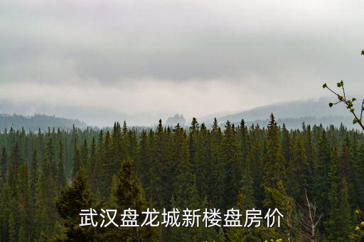 武漢盤龍城新樓盤房價