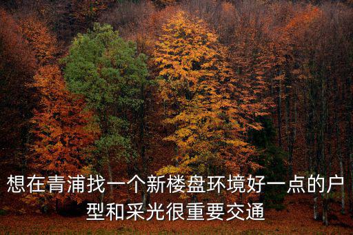 想在青浦找一個新樓盤環(huán)境好一點的戶型和采光很重要交通
