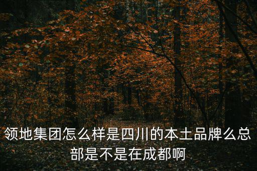 領(lǐng)地集團(tuán)怎么樣是四川的本土品牌么總部是不是在成都啊