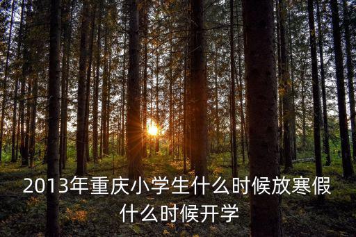 重慶市區(qū)小學寒假開學時間，重慶中小學寒假什么時后放