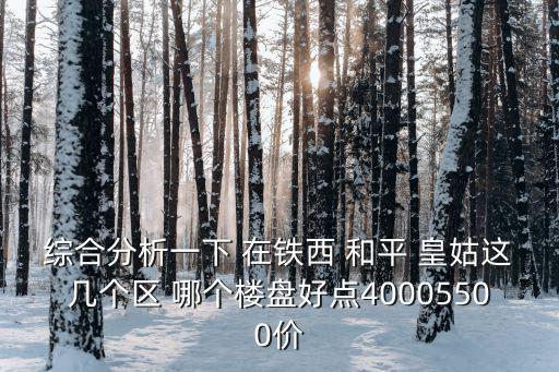 鐵西哪個(gè)小區(qū)房價(jià)升值，沈陽市鐵西經(jīng)濟(jì)開發(fā)區(qū)中央大街附近在那里買樓房未來發(fā)展會(huì)怎樣有沒